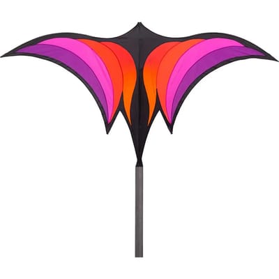 Vlieger HQ-Invento Brasington - Corbeau