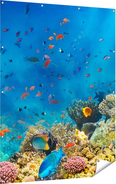 Gards Tuinposter Onderwater Vissen met Koraal in de Zee - 120x160 cm - Tuindoek - Tuindecoratie - Wanddecoratie buiten - Tuinschilderij