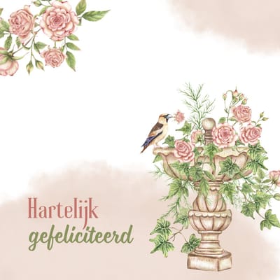 Wenskaart hartelijk gefeliciteerd hoge vaas roze rozen vogeltje – 13x13 cm – gevouwen kaart – inclusief witte envelop – stevig papier – felicitatiekaart