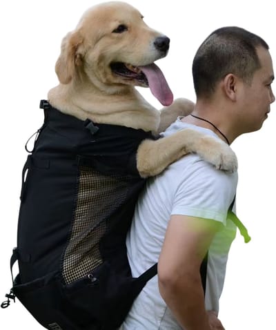 Ademende Hondenrugzak – Lichtgewicht Hondentas met Mesh Ventilatie, Honden Draagtas, Huisdier Transporttas voor Kleine Honden en Katten, Wandelen, Fietsen, Motorrijden & Reizen - Zwart - Maat S