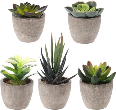 Set van 5 Kunstmatige Succulenten met Potten voor Tafeldecoratie en Tuinaccessoires