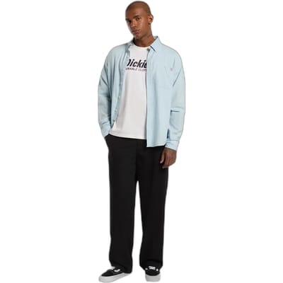 DICKIES DK0A87YLC481 Wit L EU