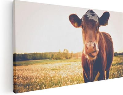 Artaza Canvas Schilderij Koe - 40x20 cm - Klein - Wanddecoratie Dieren - Muurdecoratie Natuur - Schilderijen Op Canvas Landschap