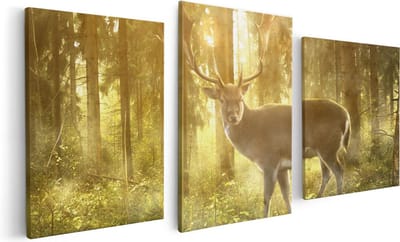Artaza Canvas Schilderij Drieluik Hert In Bos Met Zon - 120x60 - Foto Op Canvas - Canvas Print