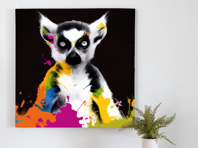 Kleur lemur in de nacht | Kleur lemur in de nacht | Kunst - 60x60 centimeter op Canvas | Foto op Canvas