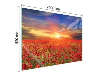 TMK ArtDeko Serie - Beschermplaat van glas - 70x52 cm - Veilig - Moderne keuken