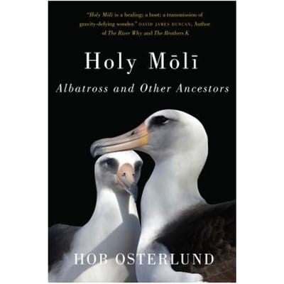 Holy Moli - Osterlund, Hob