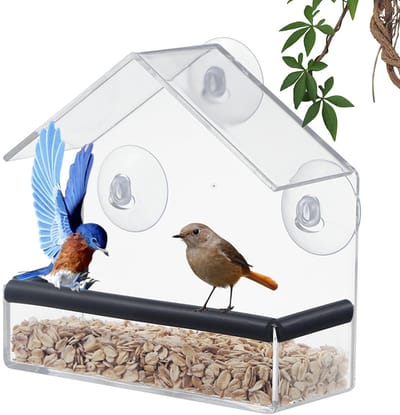 Dailygoods- Vogelvoederbak met sterke zuignappen - Vogelhuis voor buiten - Acryl venster - Afvoergaten - Rubber pad - Afmetingen 15,7 x 6,1 x 15,7 cm - Vogelhuisje