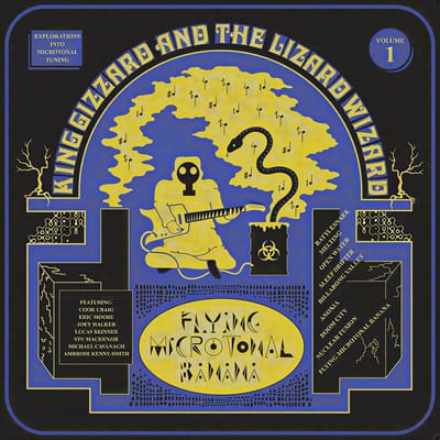King Gizzard & The Lizard Wizard - Flying Microtonal Banana (Explorations Into Microtonal Tuning Volume 1) (LP)