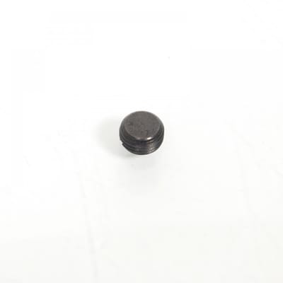 Bouchon axe coulisseau origine pour moto Suzuki 350 DR 59146-21E10-000 Neuf