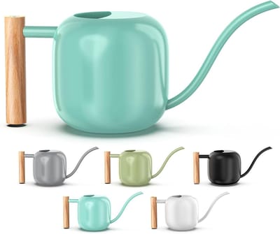 Waterkan Kamerplanten - Water Spuit - Planten Water Geven - Lange Tuit - 12 Liter - Mint Groen