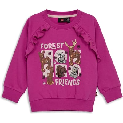 Junior Sweatshirt Lego Lwsanyu 701