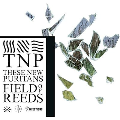These New Puritans - Field Of Reeds (CD)