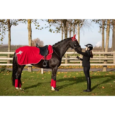 Paardenmuts court HFI Velvet