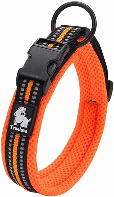 Reflecterende Hondentrainingshalsband - Nylon Singelband voor Huisdieren (M, Oranje)