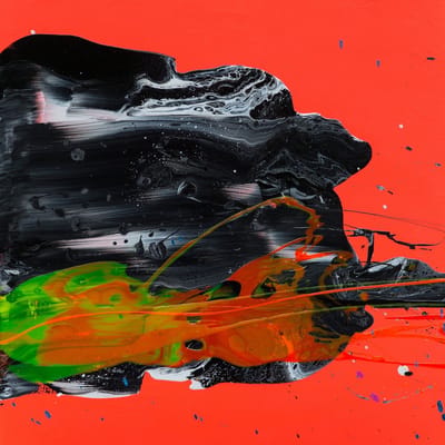 Goose - Undecided (LP) (Coloured Vinyl) (Limited Edition)