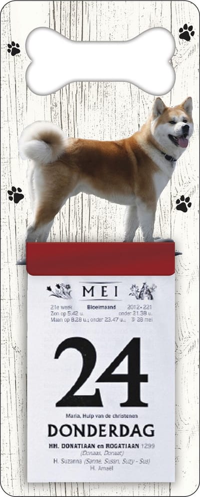 Scheurkalender 2027 Hond: Shiba Inu