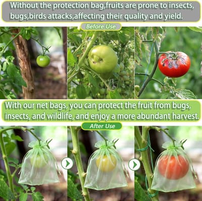Fruithoes met trekkoord - Set van 100 - Fruitbeschermingszakken - 15 x 20 cm - Ademende en Lichtdoorlatende Fruitnettas - Organzazakjes - Tuin, Nettas Ter Bescherming Tegen Vogels, Wespen, Fruitvliegen