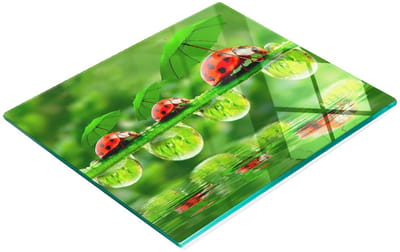 Decoratieve snijplank van gehard glas met lieveheersbeestjemotief, 60x52 cm