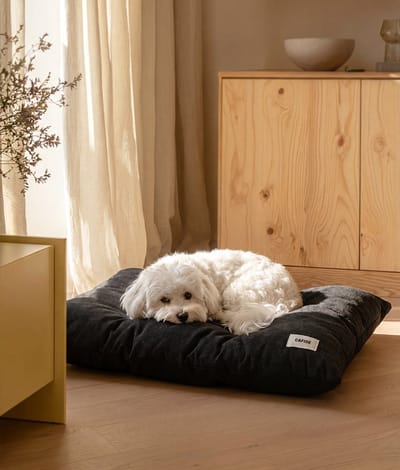 Zacht hondenkussen – Zwart Antraciet – Wasbaar & anti-slip – Bela