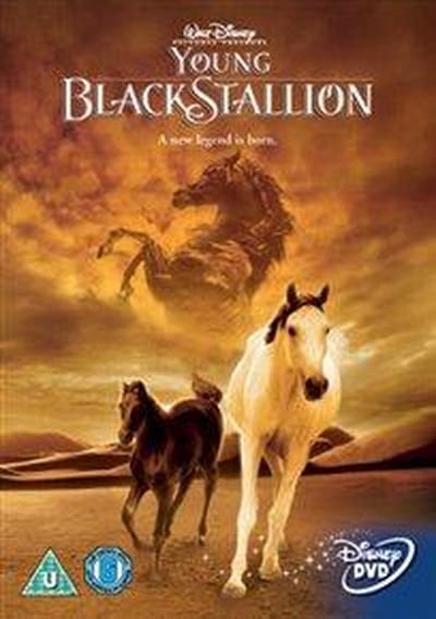 Young Black Stallion