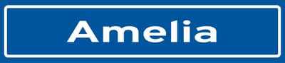 Fotofabriek Straatnaambord Amelia | Straatnaambord met naam | Cadeau Amelia