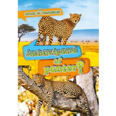 Jachtluipaard Of Panter? - Ontdek De Verschillen - Kirsten Chang