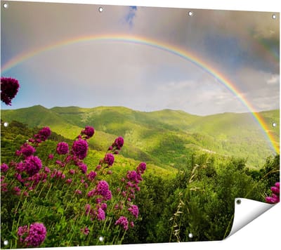 Gards Tuinposter Regenboog in de Heuvel Bossen - 120x90 cm - Tuindoek - Tuindecoratie - Wanddecoratie buiten - Tuinschilderij