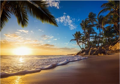 Fotobehangkoning - Behang - Vliesbehang - Fotobehang Tropisch Strand - Palmbomen - Zee - Paradijs - 100 x 70 cm