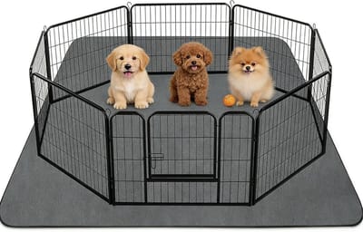 Wasbare incontinentie-onderlegger voor honden, absorberend en hygiënisch, 168 x 125 cm, ideaal voor puppy's en oudere honden, perfect voor thuis en onderweg, zwart, 1 stuk