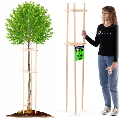 KADAX boomsteun 170 cm van stevig hout, boomsteun voor het stevig vastzetten van jonge bomen en struiken, driepote plantensteun van beukenhout voor in de tuin (naturel)