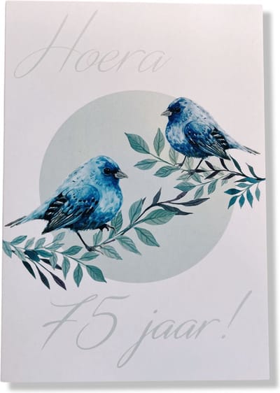 Hoera 75 Jaar! Luxe verjaardagskaart - 12x17cm - Gevouwen Wenskaart inclusief envelop - Leeftijdkaart
