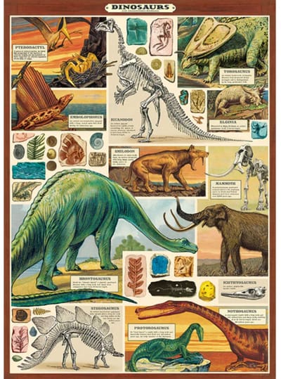 Poster Dinosaurussen B - Cavallini & Co - Vintage Schoolplaat Dino's B