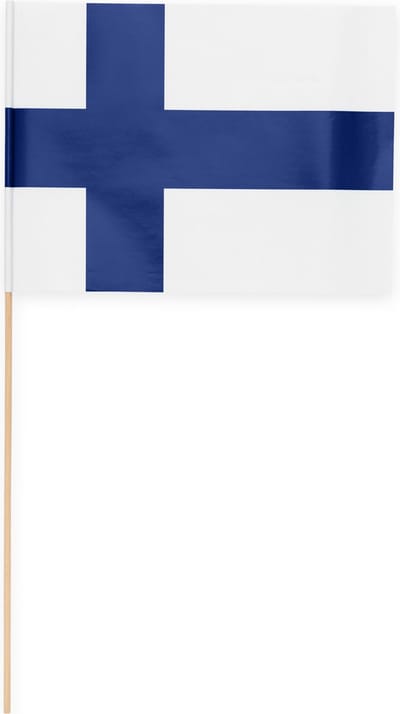 10 Papieren zwaai vlaggen 20 x 30 centimter Finland