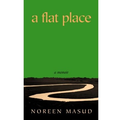 A Flat Place - Noreen Masud