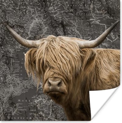 Poster 30x30 cm - Schotse hooglander - Wereldkaart - Dieren - Posters - Kamer decoratie - Wanddecoratie woonkamer - Muurdecoratie slaapkamer