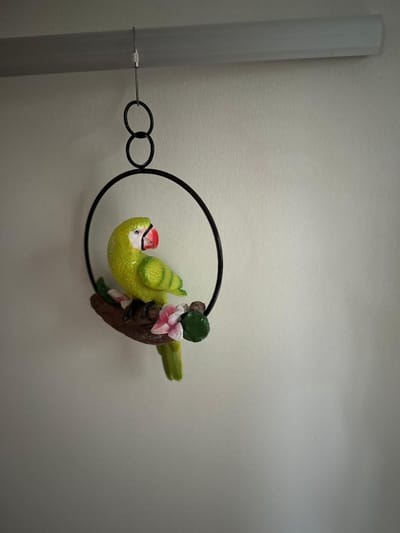 Goodyz- Vogels - Vogel - Kleurrijke vogel- Papegaai - Papegaai in ring - Groen - 17cm hoog(exclusief ring)