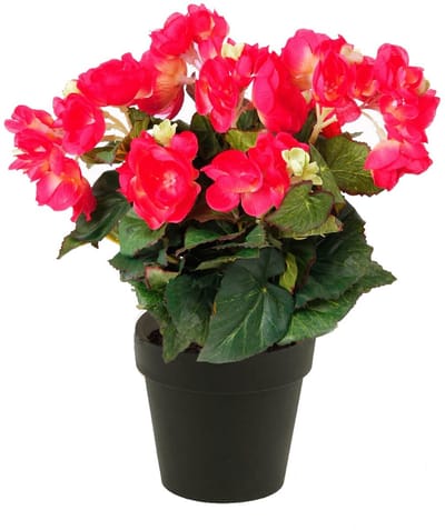 Emerald - Kunstplant Begonia in pot 30cm roze - Kunstplant voor binnen