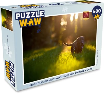 Puzzel Prachtige zonnestralen over een zwarte puppy - Legpuzzel - Puzzel 500 stukjes
