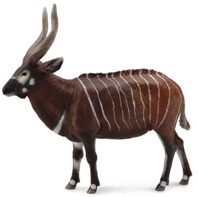 COLLECTA Figurine - Bongo - (XL)