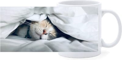 Bekers - Poes onder Laken