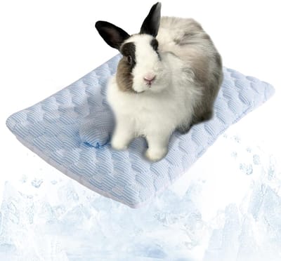 Koeldeken voor konijnen, zomer, koelkussen voor kittens, konijnen, chinchilla, hamsters en kleine huisdieren, blauw