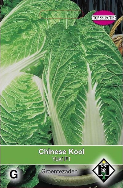 Van Hemert - Chinese Kool Yuki F1