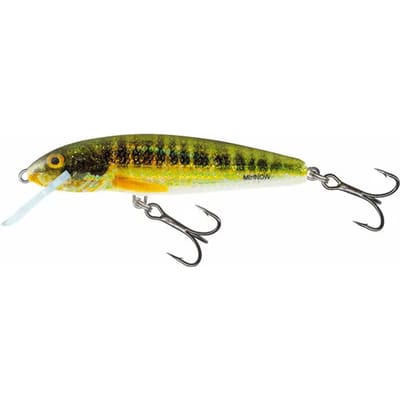 Salmo - Minnow Floating | Plug | Holo Real Minnow | 7cm - Zilver