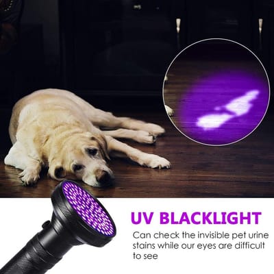 UV Zaklamp - Blacklight Detector - Vlekken Opsporen - 100 LED Lampen - 19.5 cm Lengte - Zwart