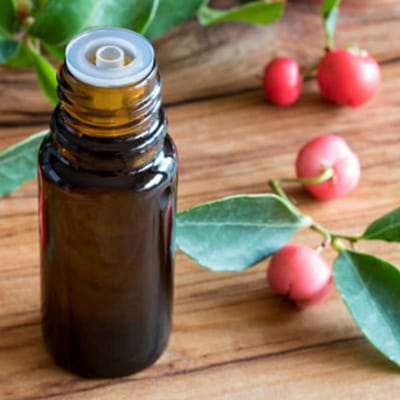 Wintergroen (Gaultheria) Etherische Olie - 30 ml