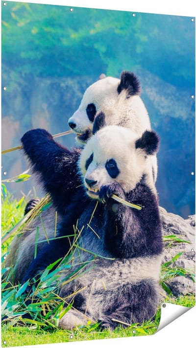 Gards Tuinposter Twee Panda's Eten Bamboe Riet - 120x180 cm - Tuindoek - Tuindecoratie - Wanddecoratie buiten - Tuinschilderij