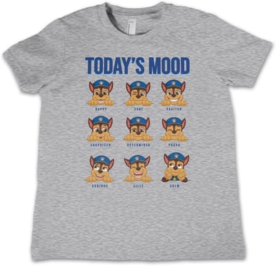 Paw Patrol Kinder-T-shirt Today's Mood Kids Tee NIC-12-PP006-DTF537