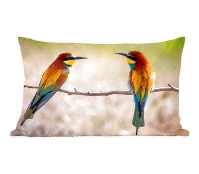 Sierkussens - Kussentjes Woonkamer - 50x30 cm - Vogels - Bijeneter - Dieren