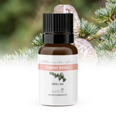 Cederolie - 100% Puur - Atlasceder olie - Ceder atlas etherische olie - Biologisch - Natuurlijk - Aromatherapie - Cederhout - 10 ml